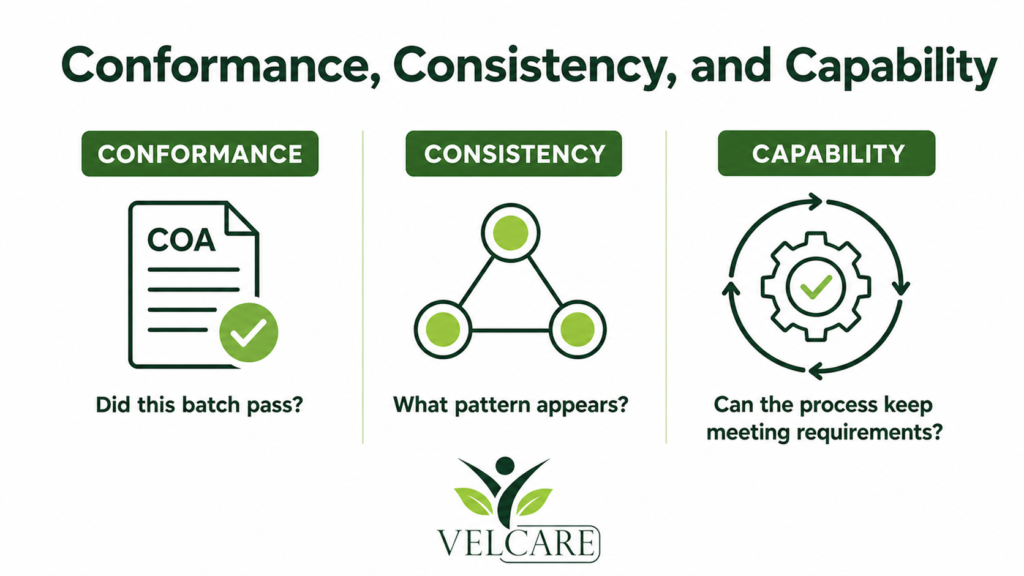 Conformance, Consistency, and Capability Are Different Decisions
